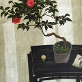 T061 Chinese New Year - Red Camellia