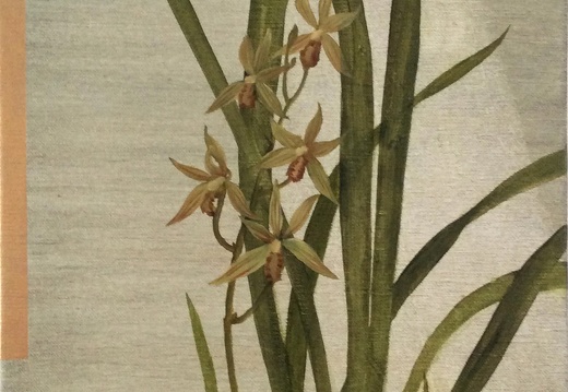 T024 Cymbidium ensifolium
