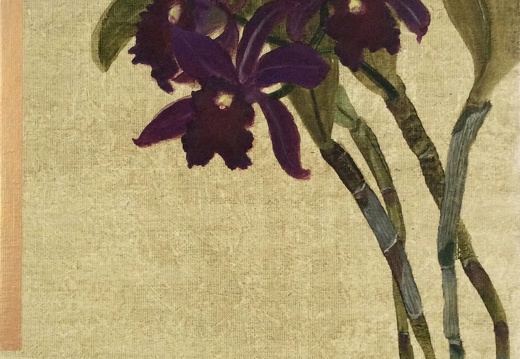 T027 Purple Orchid