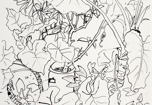 D009 Courtyard- Pen Drawing