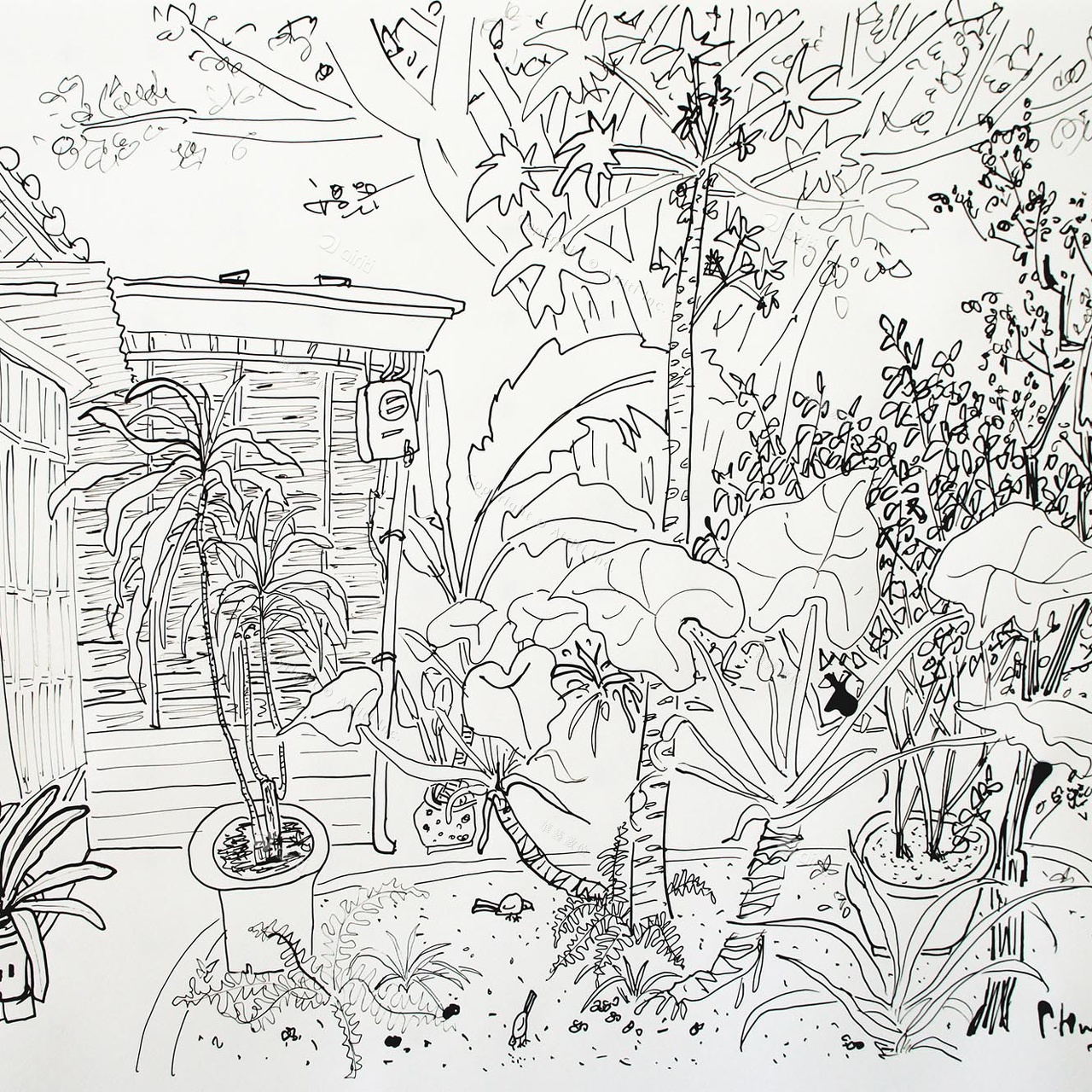 D028 Courtyard- Pen Drawing