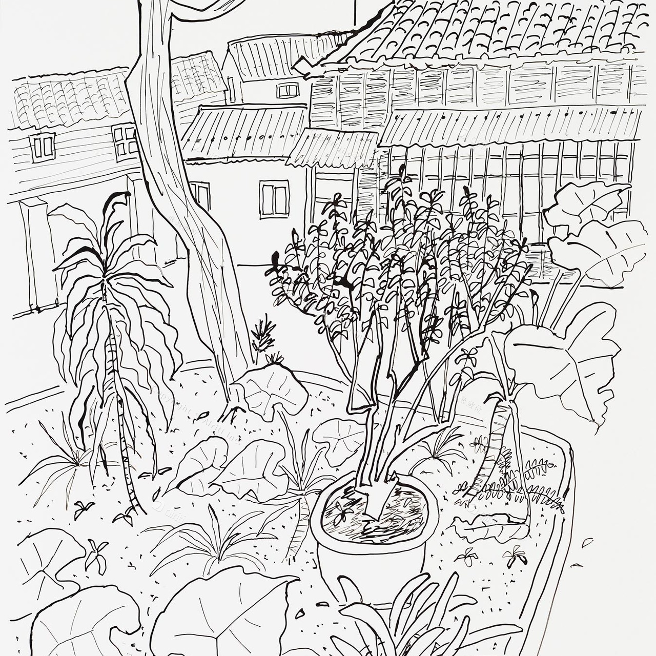 D037 Courtyard- Pen Drawing