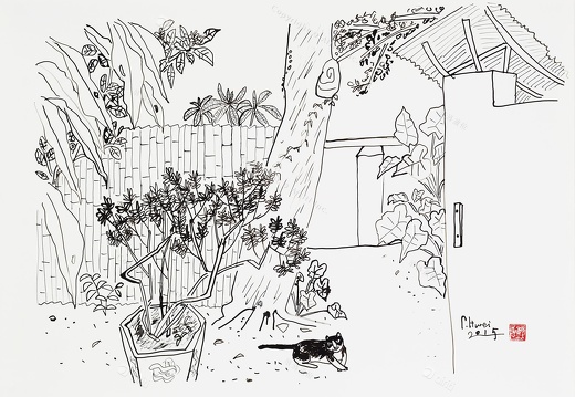 D051 Courtyard- Pen Drawing