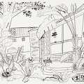 D061 Courtyard- Pen Drawing