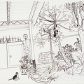 D062 Courtyard- Pen Drawing