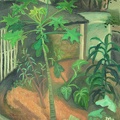 009 Papaya Tree